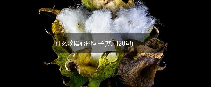 什么淡操心的句子(热门20句),第1张