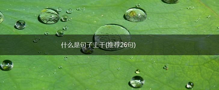 什么是句子主干(推荐26句),第1张