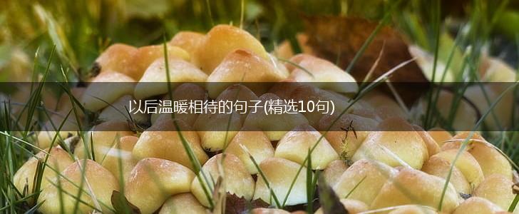以后温暖相待的句子(精选10句),第1张