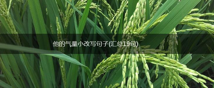 他的气量小改写句子(汇总19句),第1张
