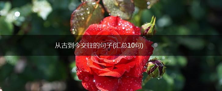 从古到今交往的句子(汇总10句),第1张