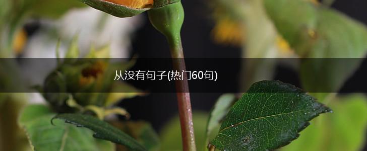 从没有句子(热门60句),第1张