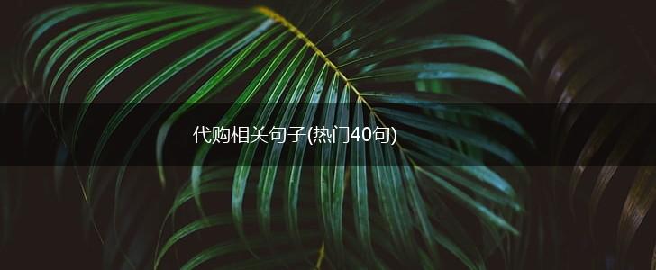 代购相关句子(热门40句),第1张