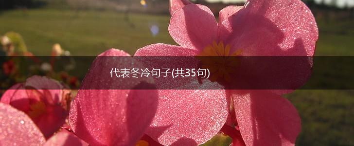 代表冬冷句子(共35句),第1张