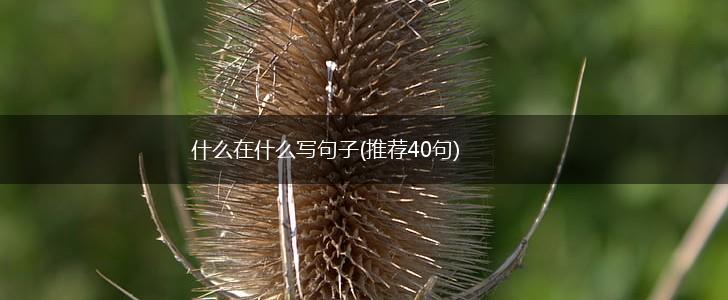 什么在什么写句子(推荐40句),第1张