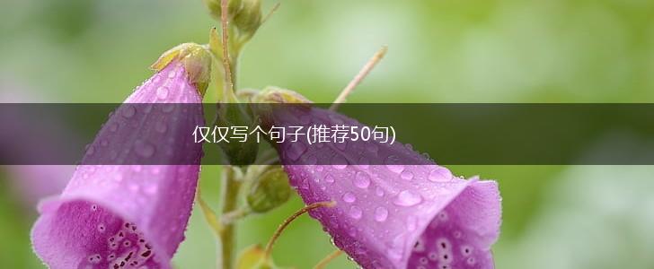 仅仅写个句子(推荐50句),第1张