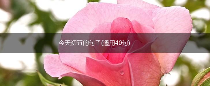 今天初五的句子(通用40句),第1张
