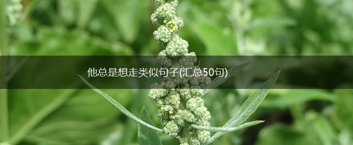 他总是想走类似句子(汇总50句),第1张