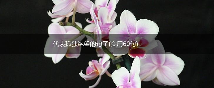 代表孤独绝望的句子(实用60句),第1张