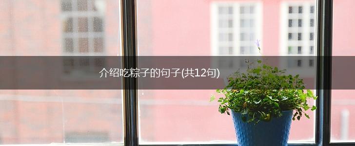 介绍吃粽子的句子(共12句),第1张