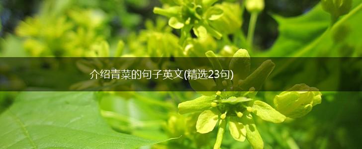 介绍青菜的句子英文(精选23句),第1张