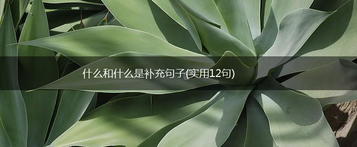 什么和什么是补充句子(实用12句),第1张
