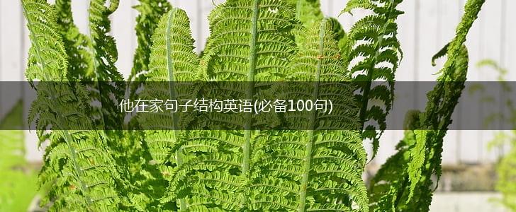 他在家句子结构英语(必备100句),第1张