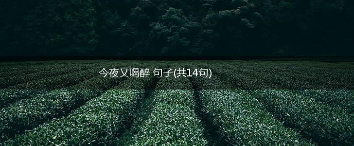 今夜又喝醉 句子(共14句),第1张