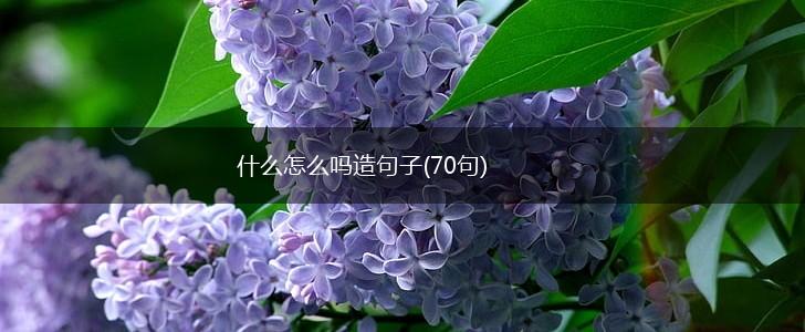 什么怎么吗造句子(70句),第1张