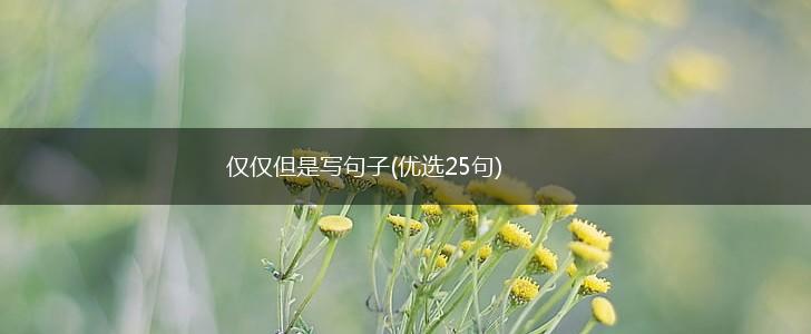 仅仅但是写句子(优选25句),第1张