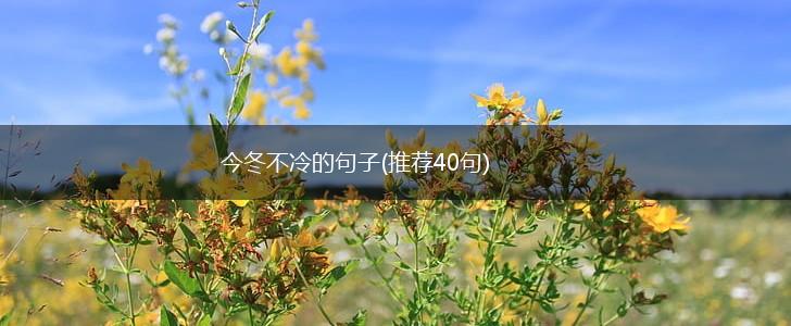 今冬不冷的句子(推荐40句),第1张