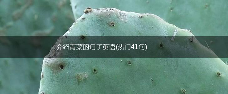 介绍青菜的句子英语(热门41句),第1张