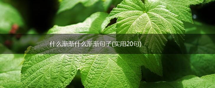 什么渐渐什么渐渐句子(实用20句),第1张