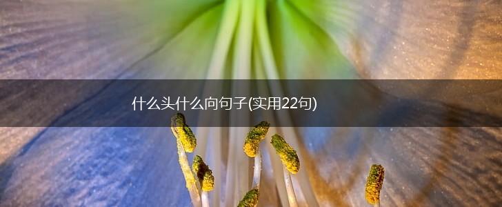 什么头什么向句子(实用22句),第1张