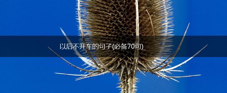 以后不开车的句子(必备70句),第1张
