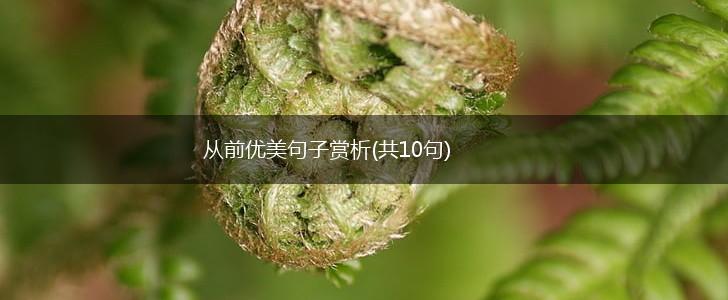 从前优美句子赏析(共10句),第1张