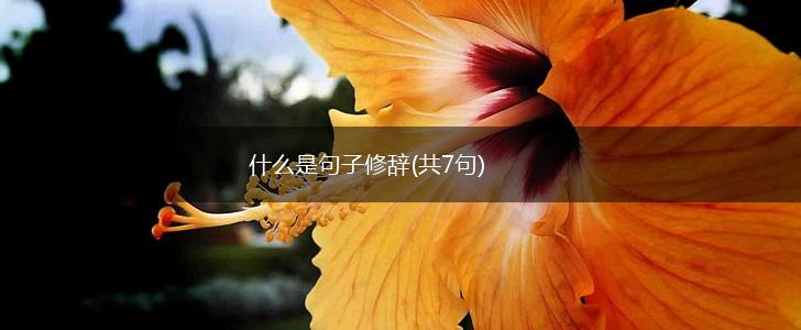 什么是句子修辞(共7句),第1张
