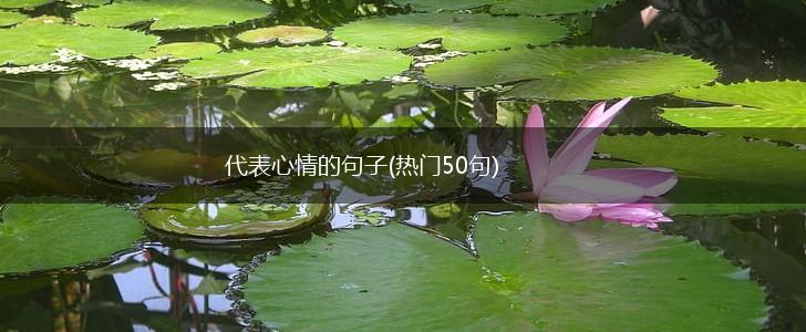 代表心情的句子(热门50句),第1张