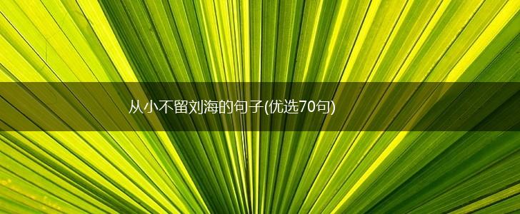 从小不留刘海的句子(优选70句),第1张