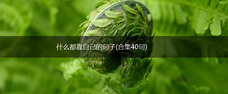 什么都靠自己的句子(合集40句),第1张
