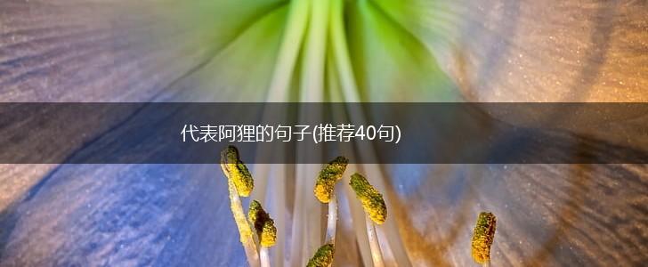 代表阿狸的句子(推荐40句),第1张