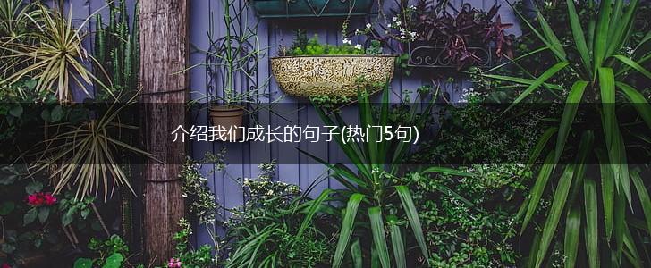 介绍我们成长的句子(热门5句),第1张