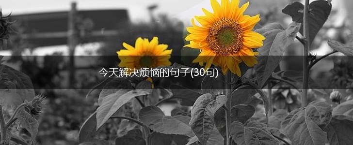 今天解决烦恼的句子(30句),第1张