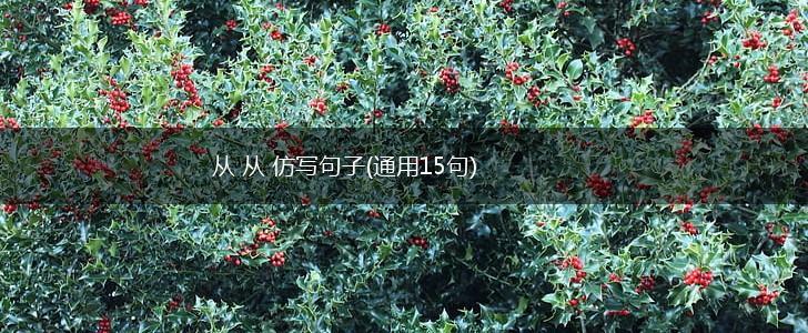 从 从 仿写句子(通用15句),第1张