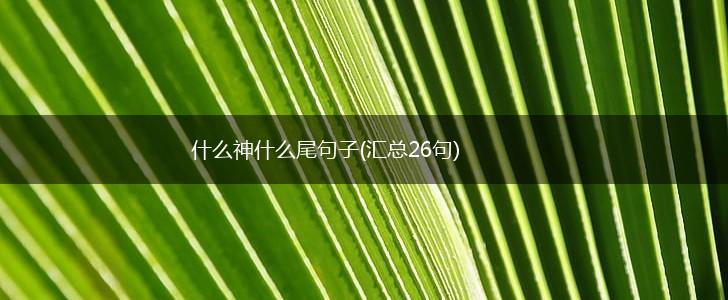什么神什么尾句子(汇总26句),第1张