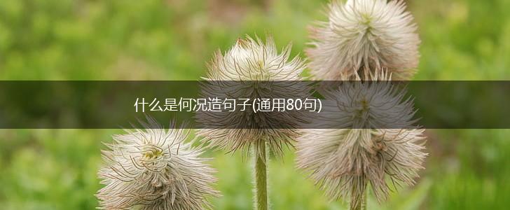 什么是何况造句子(通用80句),第1张