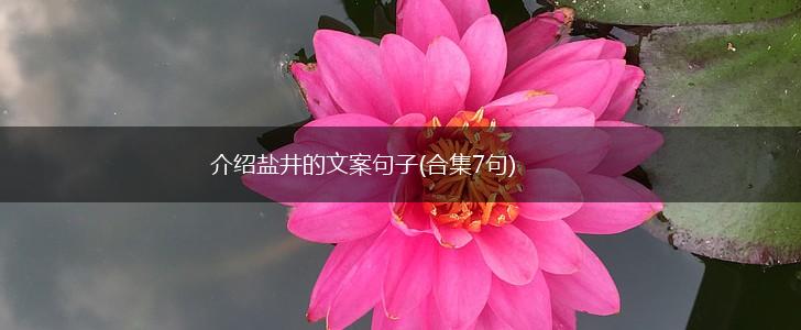 介绍盐井的文案句子(合集7句),第1张