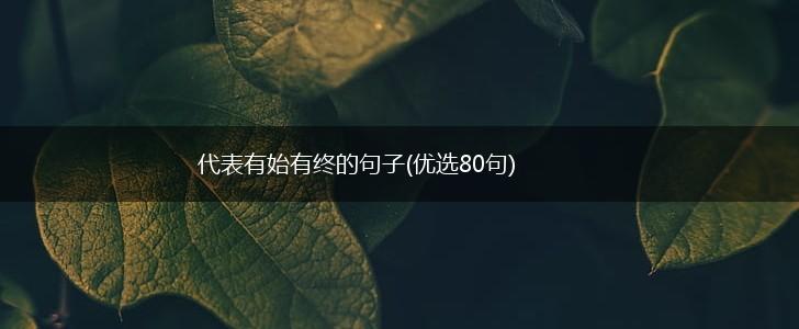 代表有始有终的句子(优选80句),第1张
