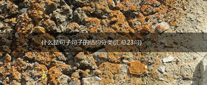 什么是句子句子的结构分类(汇总23句),第1张