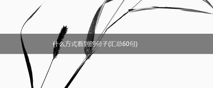 什么方式看到的句子(汇总60句),第1张