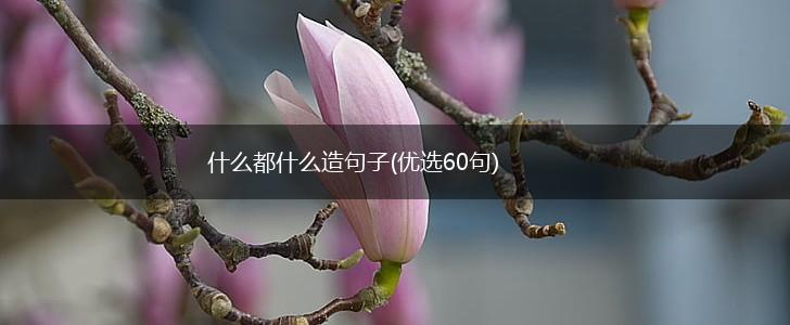 什么都什么造句子(优选60句),第1张