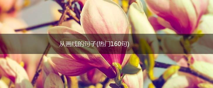 从画线的句子(热门160句),第1张