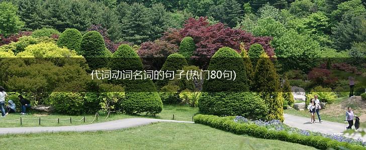 代词动词名词的句子(热门80句),第1张