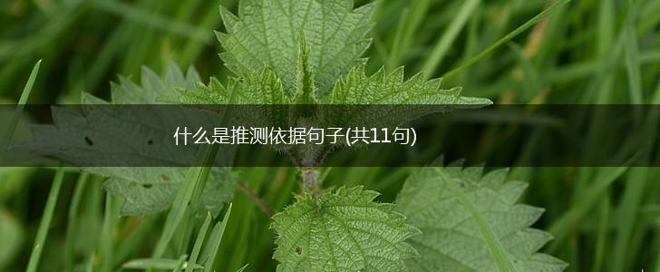 什么是推测依据句子(共11句),第1张
