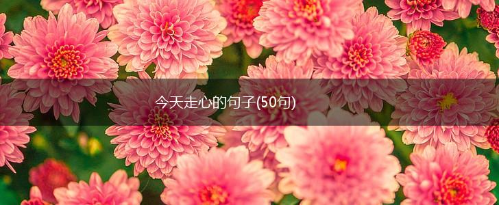 今天走心的句子(50句),第1张