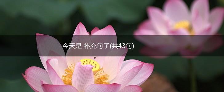 今天是 补充句子(共43句),第1张