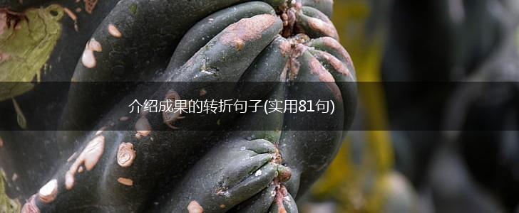 介绍成果的转折句子(实用81句),第1张