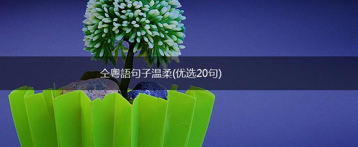 仝粵語句子温柔(优选20句),第1张