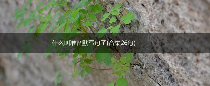 什么叫准备默写句子(合集26句),第1张