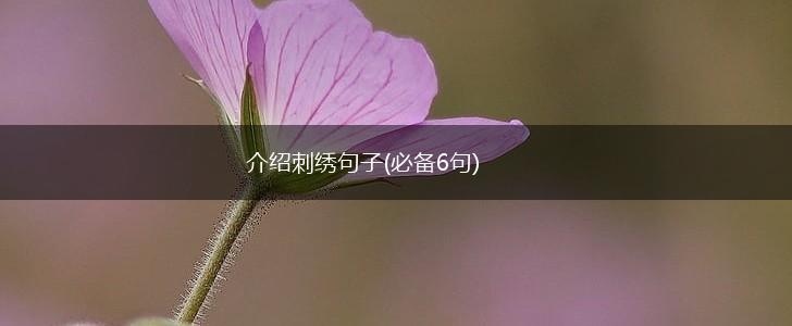 介绍刺绣句子(必备6句),第1张